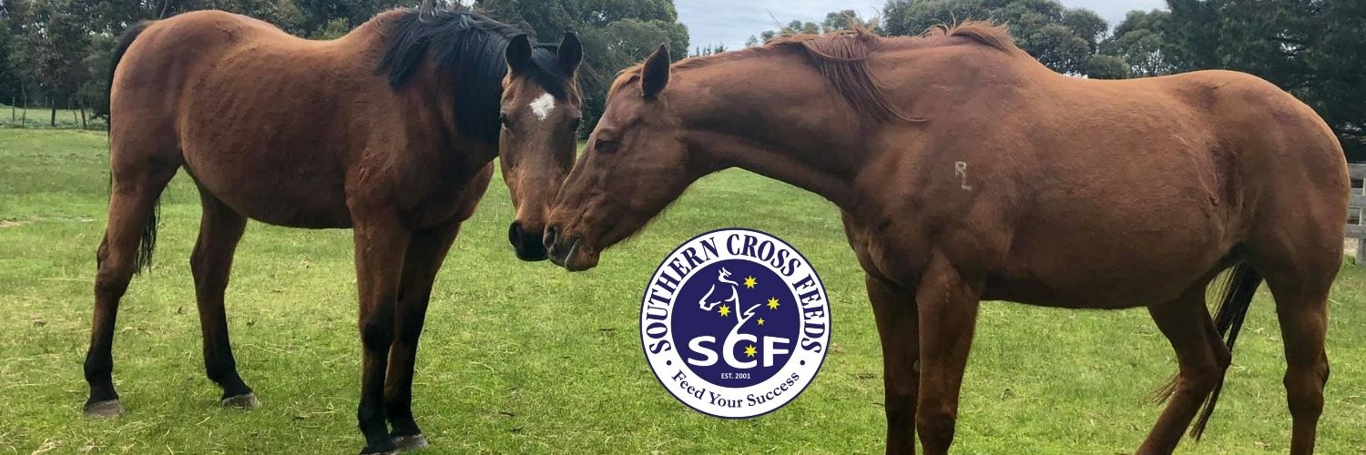 Southern Cross Feeds AGRIBRANDS